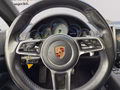 Daumennagel 28 - Porsche Cayenne S E-Hybrid Platnum Edition NAVI/LEDER/PANO/BI-XENON/RFK/LUFT