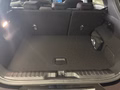 Daumennagel 16 - Ford Puma ST-Line Winterpaket/Komfortpaket/u.v.m.