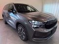 Daumennagel 3 - Skoda Kodiaq 1.5 TSI mHEV Sportline AHK PANO 7-SITZE