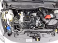 Daumennagel 15 - Ford Fiesta 1.0 EcoBoost Hybrid S&S TITANIUM Winter