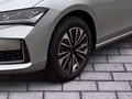 Daumennagel 6 - Skoda Superb Combi 1.5 TSI mHEV 110 kW Selection