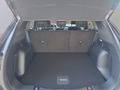 Daumennagel 17 - Ford Kuga ST-Line 2.5 Plug-in-Hybrid aAHK/Keyless/Winterp/LED/Navi **