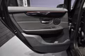 Daumennagel 19 - BMW 225 Xe Active Tourer / Panorama / 2 Hand