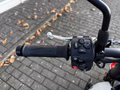 Daumennagel 18 - Triumph Trident 800 NEU! 115PS Quick-Shifter