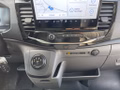 Daumennagel 12 - Ford Transit 350 L4 VA Trend Kofferaufbau Junge