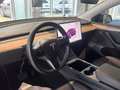 Daumennagel 17 - Tesla Model Y Long Range RWD