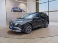 Daumennagel 1 - Hyundai TUCSON 1.6 T-GDI HEV 239PS Navi/LED/Kamera/Keyless