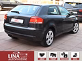 Daumennagel 5 - Audi A3 2.0 TDI Klimaaut. Servo 140Ps 17"Alu