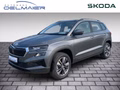 Daumennagel 1 - Skoda Karoq 2.0 TDI Tour Matrix, Kessy, Panorama