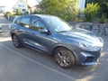 Daumennagel 3 - Ford Kuga Hybrid ST-Line aus 1. Hand