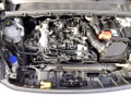 Daumennagel 15 - Ford Puma 1.0 EcoBoost Hybrid Aut. TITANIUM Matrix