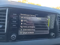 Daumennagel 41 - Skoda Karoq Sportline 2,0TDI DSG 4*J.Gar/Pano/aAHK/Matrix/Navi    **