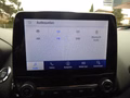 Daumennagel 18 - Ford EcoSport ST-Line