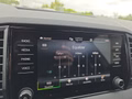 Daumennagel 48 - Skoda Karoq Sportline 1,5TSI DSG 4*J.Gar/aAHK/Matrix/Navi  **