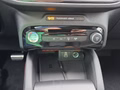 Daumennagel 27 - Ford Kuga ST-Line X 2,5 PHEV 20*Alu/AHK/Pano/Matrix/el.Klappe  **