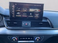 Daumennagel 18 - Audi SQ5 Sportback quattro TDI Matrix+Navi+Kamera