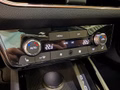 Daumennagel 16 - Skoda Kamiq 1.0 TSI DSG DYNAMIC AHK EL.HECKKL 5J GARAN