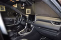 Daumennagel 23 - Toyota RAV 4 RAV4 Hybrid 4x4 Style Selection