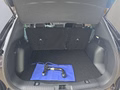 Daumennagel 17 - Ford Kuga ST-Line 2.5 Plug-in-Hybrid aAHK/Keyless/Winterp/LED/Navi  **