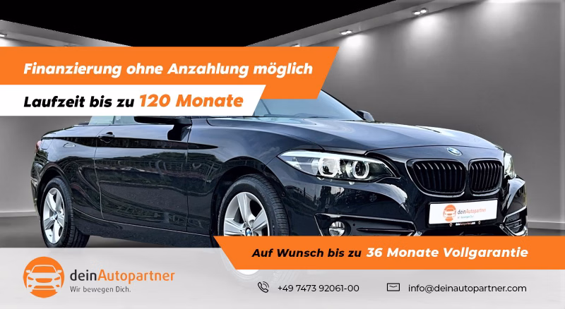 BMW 218i Cabrio Sport Line Leder Navi DAB Hifi Memory