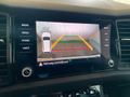 Daumennagel 16 - Skoda Kodiaq Sportline 4x4 2.0 TDI DSG AHK StHz 20"