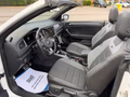 Daumennagel 14 - Volkswagen T-Roc Cabriolet R-Line DSG ACC Kamera Navi AHK
