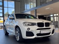 BMW X4 xDrive 20i M Sport NaviProf/GSD/RFK - foto 1