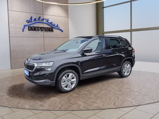 Skoda Karoq age.one-day registration Kaufen