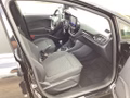 Daumennagel 13 - Ford Fiesta 1.0 EcoBoostHybrid S&S TITANIUM NAVI LED