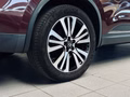 Daumennagel 47 - Renault Koleos Initiale Paris 4x4 LED|BOSE|KAMERA|NAVI|AHK