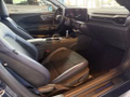 Daumennagel 13 - Ford Mustang Fastback 5.0 Ti-VCT V8 Aut. Dark Horse
