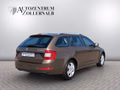 Daumennagel 6 - Skoda Octavia Combi 1.6 TDI Ambition *2.HAND*AHK*KLIMA