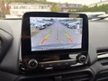 Daumennagel 18 - Ford EcoSport 1.0 EcoBoost Titanium RFK/BLIS/LED/DAB