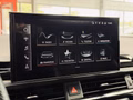 Daumennagel 32 - Audi A4 Avant 50 TDI quattro S-Line Plus excl. MATRIX