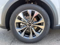 Daumennagel 12 - Ford Puma 1.0 EcoBoost Hybrid Titanium ACC/RFK/LED