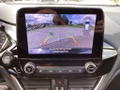 Daumennagel 10 - Ford Fiesta 1.0 EcoBoost Hybrid S&S TITANIUM X Navi