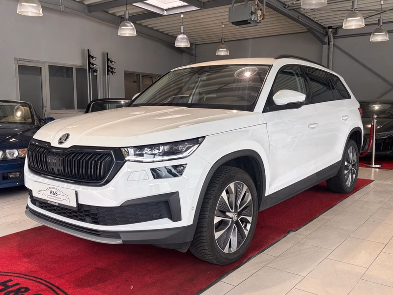 Skoda Kodiaq Tour  AHK/CAR-PLAY