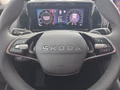 Daumennagel 22 - Skoda Kodiaq 2,0TDI DSG 4x4 aAHK/7-Sitzer/Matrix/Navi/el.Klappe **