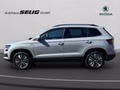 Daumennagel 12 - Skoda Karoq 2.0 TDI DSG 4x4 Drive, ACC, AHK, ACC, Navi, Kamera, El.Heckklappe, ....