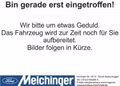 Daumennagel 23 - Ford Fiesta ST-Line 1.0 EB Hybrid Klimaautomatik/Winterpaket