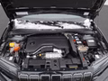 Thumbnail 19 - Jeep Avenger Summit 1.2 , Mild-Hybrid Panorama-Dach