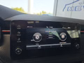 Daumennagel 36 - Skoda Kamiq Monte Carlo 1,5TSI DSG 5*J.Gar/Kessy/Matrix/Winterp/Kamera
