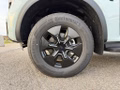 Daumennagel 5 - Ford Ranger 2,3 l EcoBoost DoKa. PHEV Stormtrak