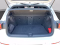 Daumennagel 19 - Volkswagen Golf VIII Black GTI 2.0 TSI DSG LED+Navi+ACC+Kamera
