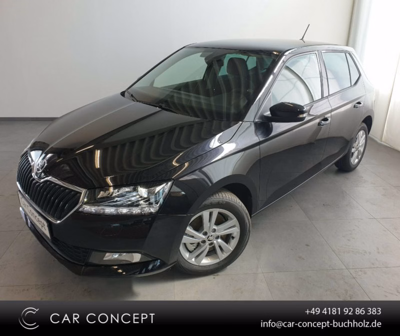 Skoda Fabia 1.0 TSI Style LED DAB 5J GARANTIE KAMERA