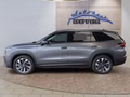 Daumennagel 2 - Skoda Kodiaq 2,0TDI DSG 4x4 aAHK/7-Sitzer/Matrix/Navi/el.Klappe   **