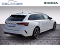 Daumennagel 3 - Skoda Octavia Combi RS Plus 4x4 ACC AHK Standheizung