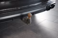Daumennagel 15 - Audi S6 Avant 3.0 TDI quattro AUT NAV KEYLEES AHK PANO HEAD-UP