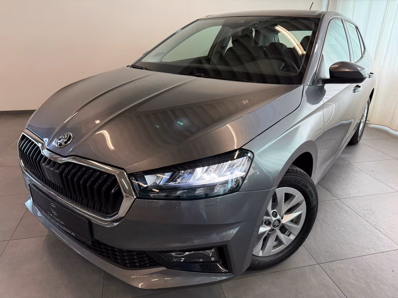 Skoda Fabia 1.0 TSI 130 JAHRE KAMERA SITZHEIZ 5J GARAN