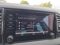 Daumennagel 28 - Skoda Karoq 1,6TDI DSG aAHK/Voll-LED/Navi/ACC/Kamera